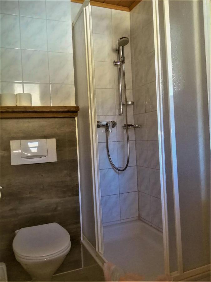 Appartement-Pension Familie Gewessler Bad Mitterndorf Ngoại thất bức ảnh